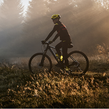 Sezónna variabilita